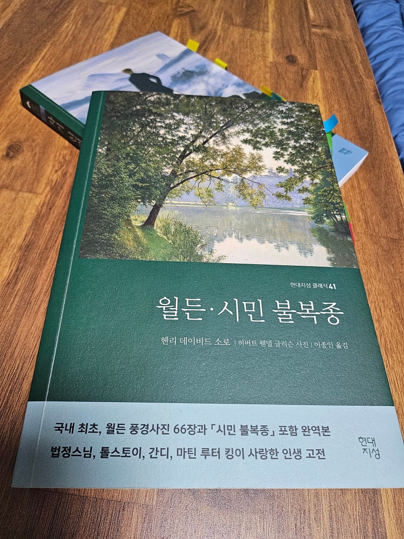 월든 . 시민 불복종 - 헨리 데이비드 소로