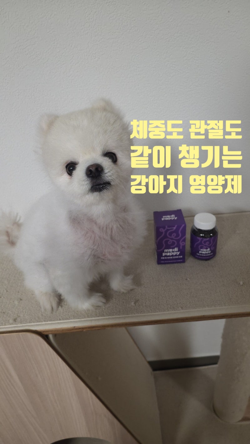 메디퍼피 체지방 영양제｜체지방 감소·관절 관리 체지방케어 플러스 급여 후기