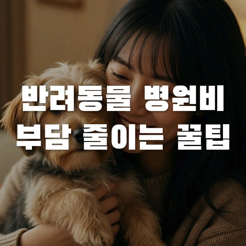 펫진료비 부담 덜어줄 정책 잭팟! 펫보험비교 필수 체크리스트