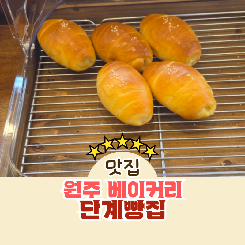 원주 베이커리 소금빵 맛집 단계빵집 이전 오픈 방문 후기
