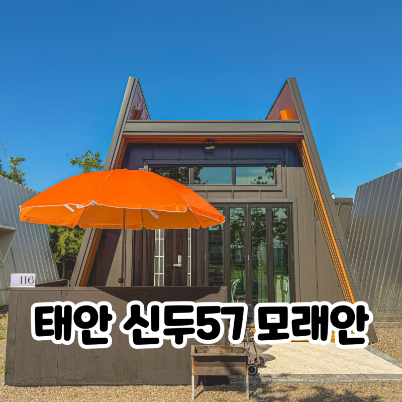 태안 신두리해수욕장 수영장 신두57 글램핑&빌리지 신생 신두리 모래안 펜션
