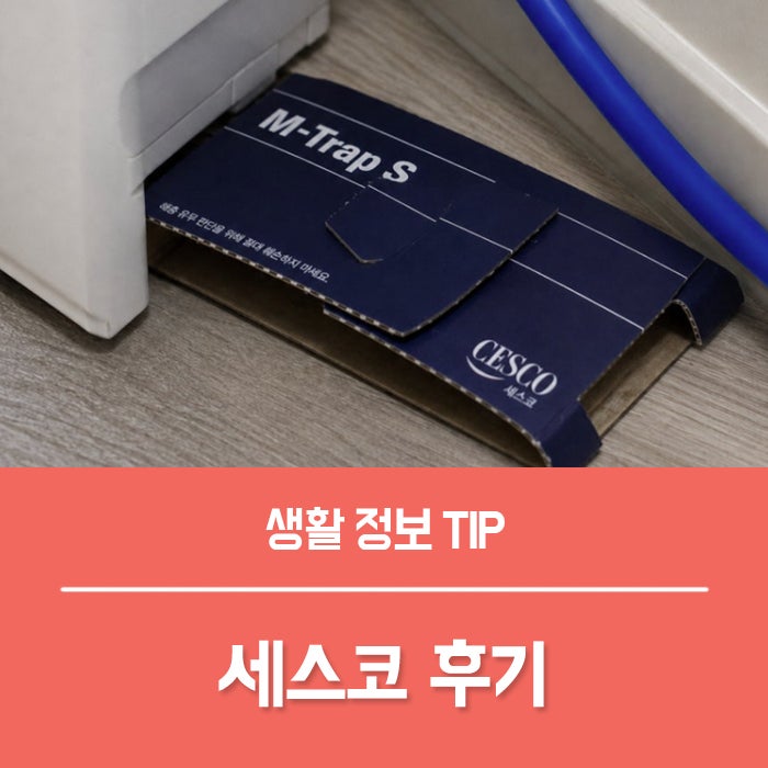 세스코 후기, 집에 바퀴벌레가 나왔다면? 세스코 바퀴벌레 약 추천 이유
