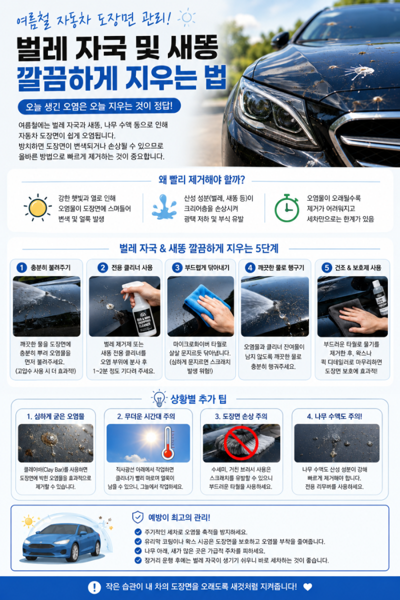 여름철 자동차 도장면 관리! 벌레 자국 및 새똥 깔끔하게 지우는 법