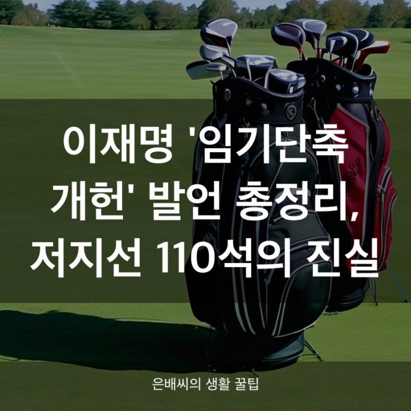 이재명 연임 개헌설, 국회 의석수로 보면 불가능한 이유