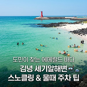 제주 구좌읍 김녕 세기알해변 스노클링 물때 주차 총정리