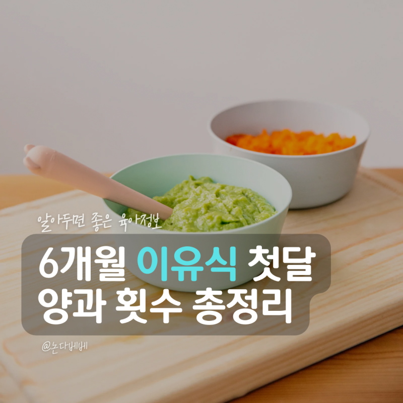 6개월 아기 초기 이유식 식단표 이유식양 한달 식단