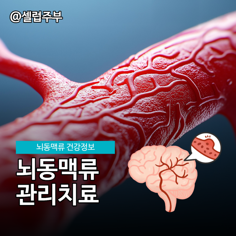 뇌동맥류 증상, 알아야 할 대처법!
