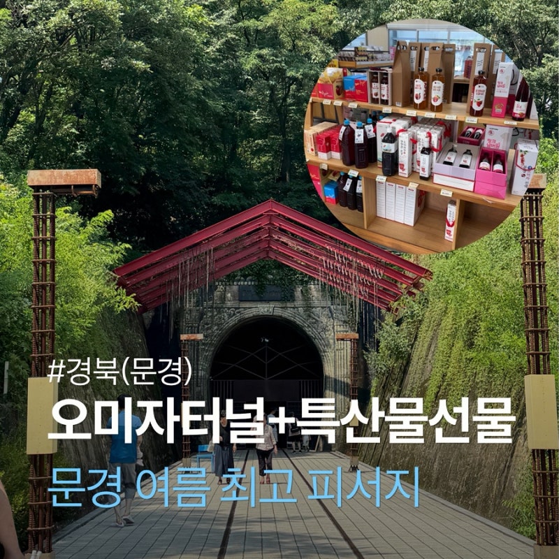 문경 여름 가볼만한곳 오미자테마터널+특산물 쇼핑