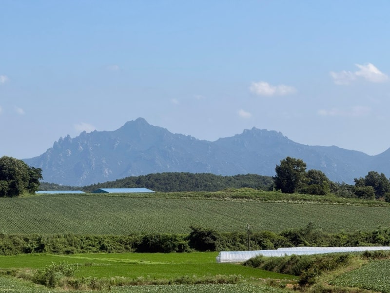 국토대장정 4일차 | 독천에서 신북까지 28km, 월출산 따라 걷다
