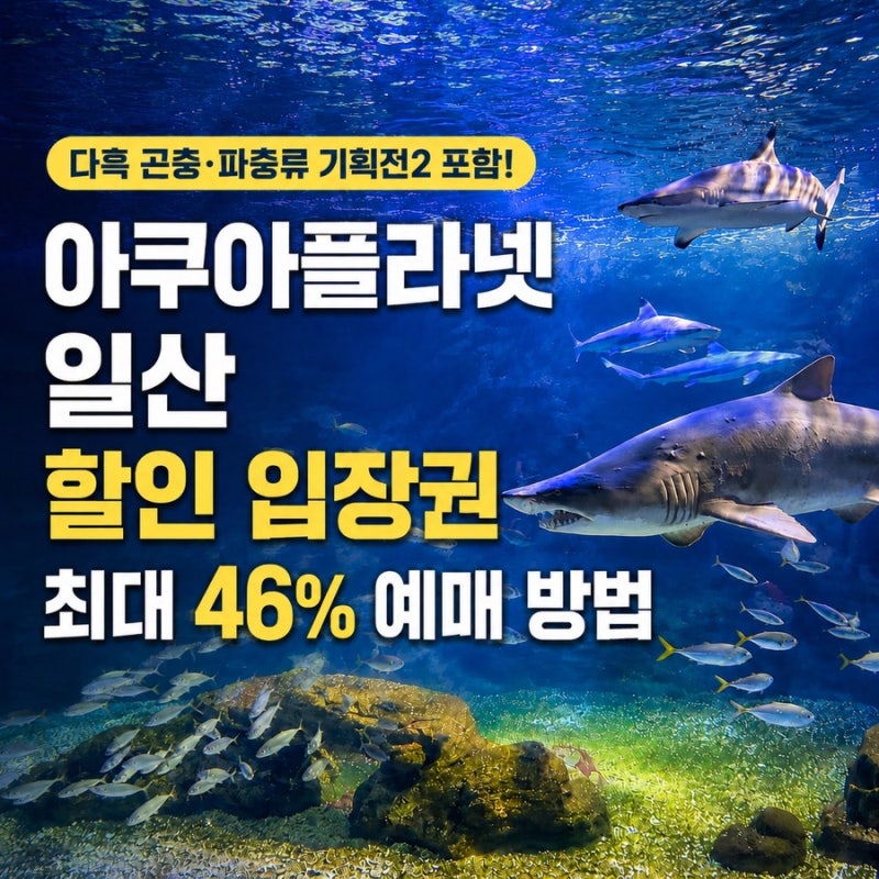 아쿠아플라넷 일산 할인 입장권 최대 46% 예매 방법 (+ 다흑 기획전 포함)