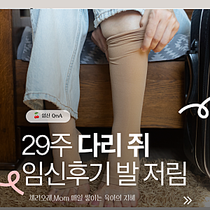 임신 29주 다리 쥐 나는 이유｜임산부 종아리 경련 원인과 완화 방법