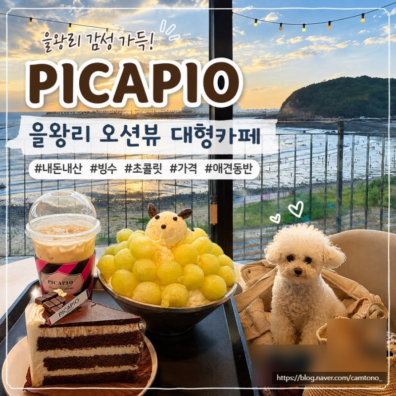 을왕리 오션뷰 대형카페 애견동반 베이커리 빙수맛집 피카피오
