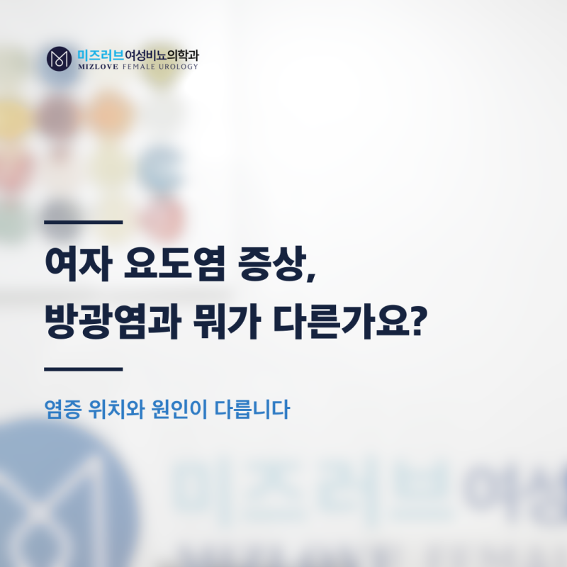 여자 요도염 증상, 방광염과 뭐가 다른가요?