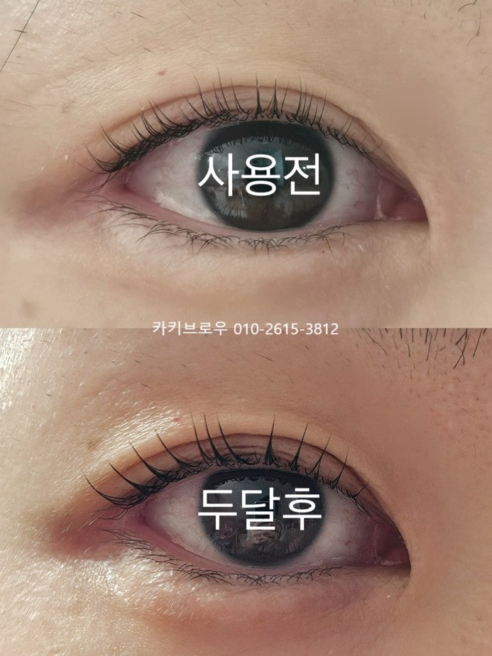 래쉬에딕트, 진짜 길어져서 놀라는 내돈내산 후기 및 이벤트 소식