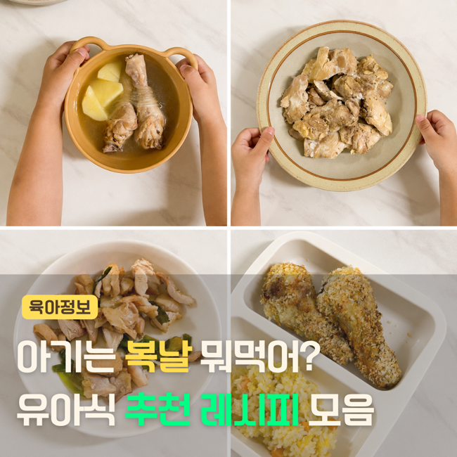 아기 닭곰탕, 닭요리 레시피 모음! 복날 맞이 추천 메뉴는?