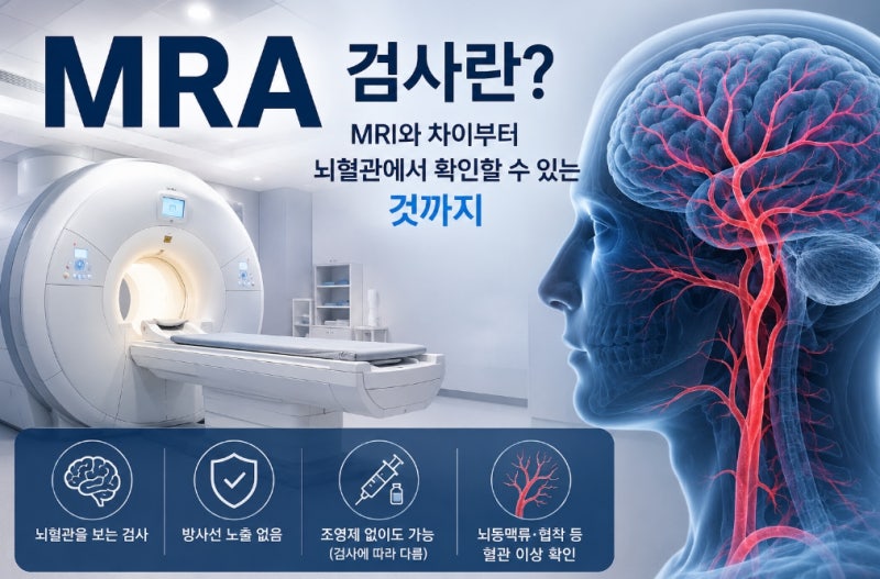 MRA 검사란? MRI와 차이부터 뇌혈관에서 확인할 수 있는 것까지