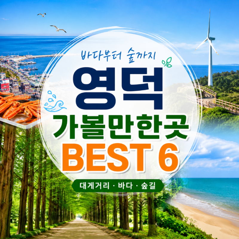 영덕 가볼만한곳 BEST 6 바다부터 숲까지 한눈에