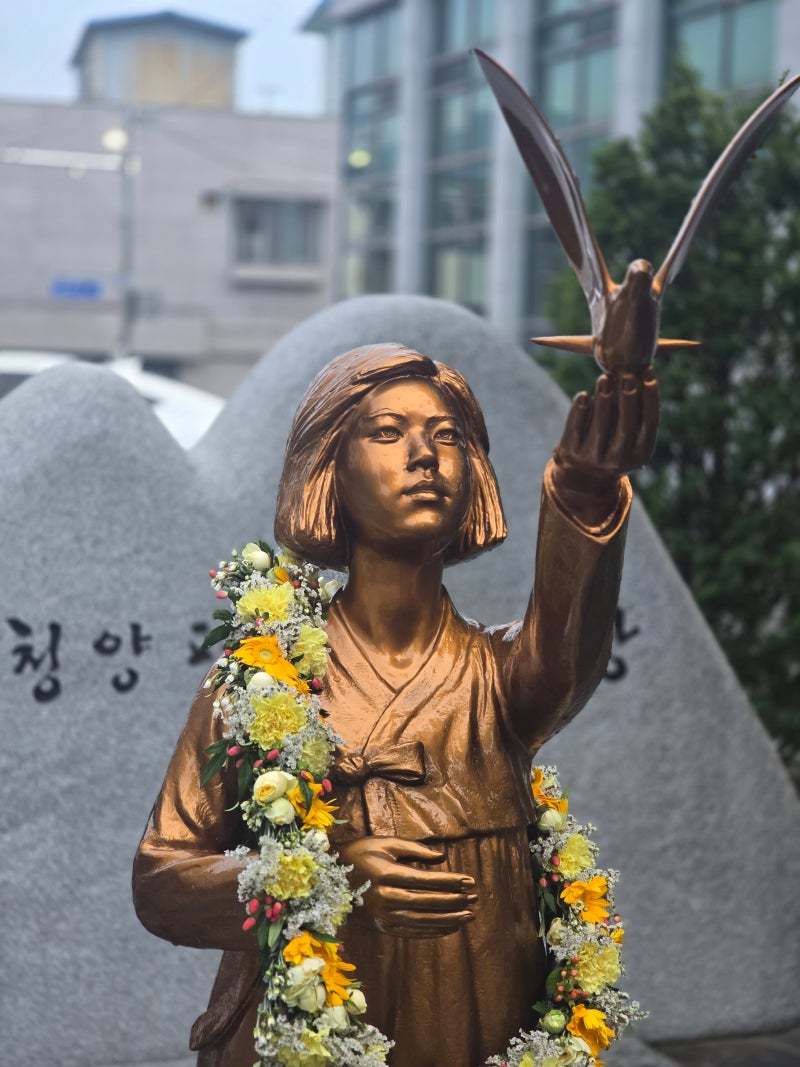 역사를 잇는 맑은 목소리와 골목에서 피어나는 인연들 – 8월 14일, 청양의 하루