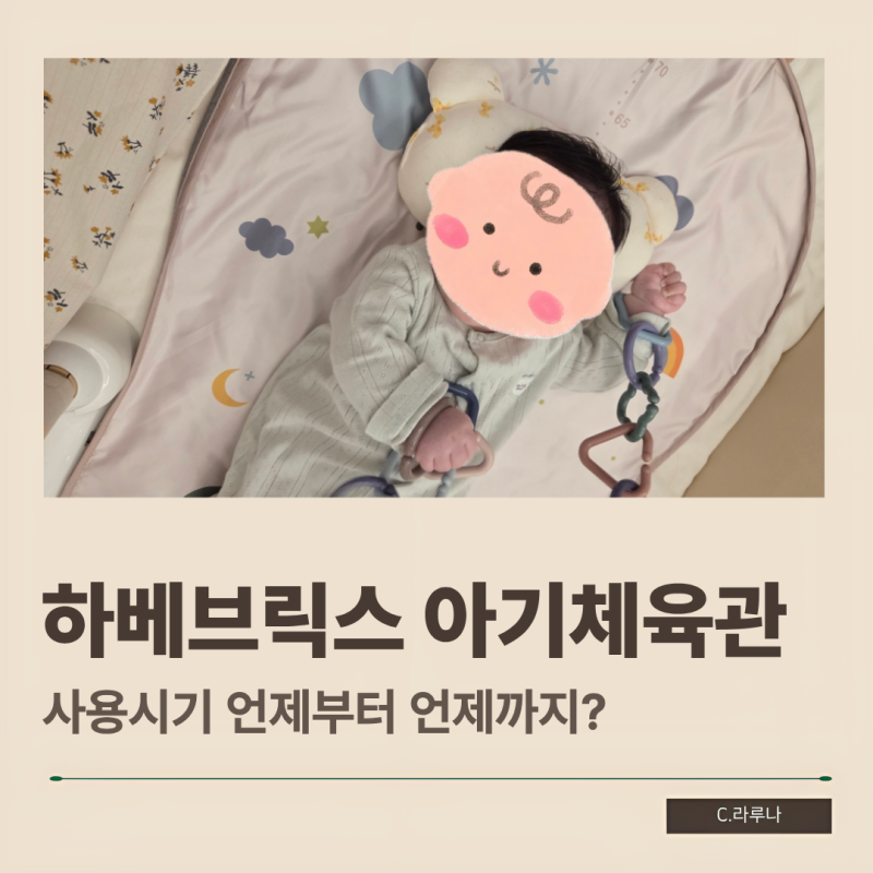 하베브릭스 아기체육관 사용시기 조립 세탁 방법