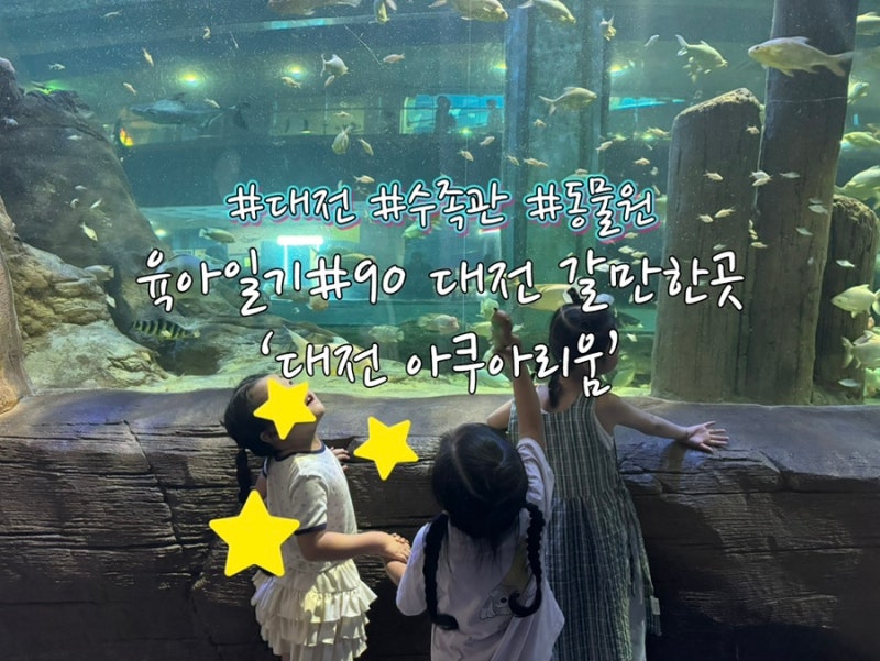 육아일기#90 대전 아이와 갈만한곳! ‘대전아쿠아리움 보문산 (feat. 대전아쿠아리움 할인정....