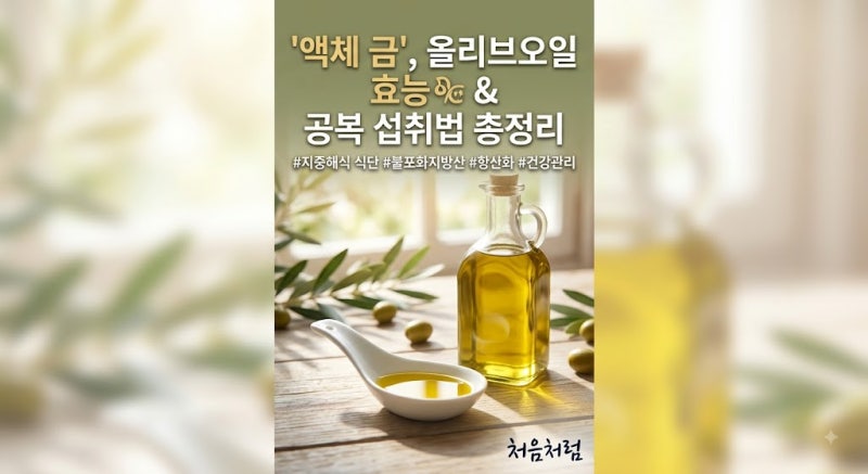 올리브오일 효능과 아침 공복 섭취법 및 하루 권장량 정리