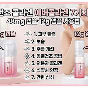 동결건조 콜라겐 에버콜라겐 7가지 핵심 — 48mg 캡슐·12g 앰플 사용법
