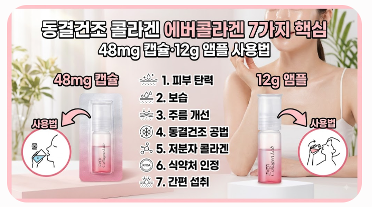 동결건조 콜라겐 에버콜라겐 7가지 핵심 — 48mg 캡슐·12g 앰플 사용법