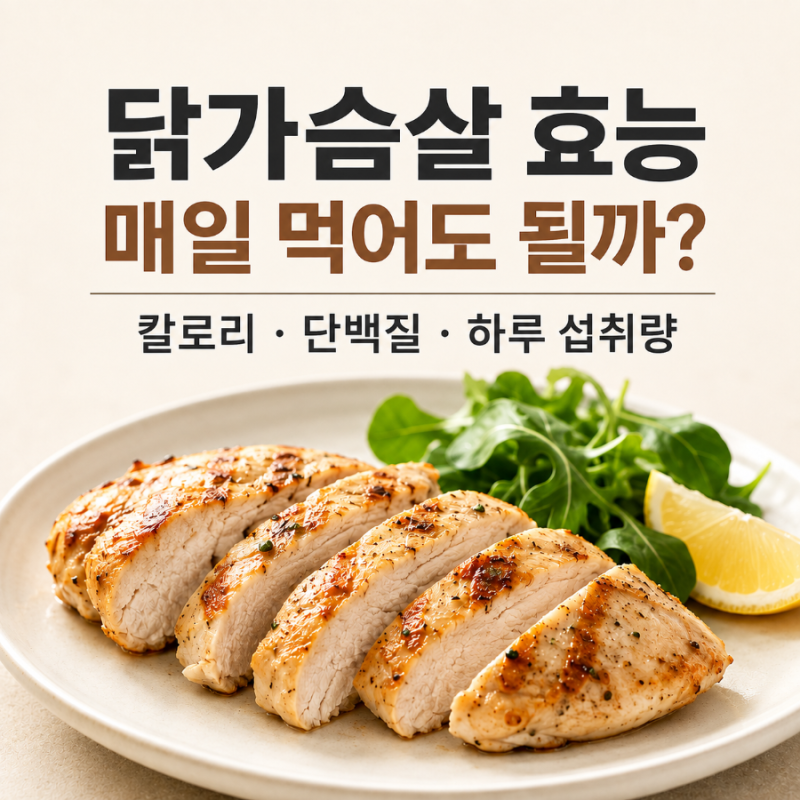 [닭가슴살 효능]매일 먹어도 될까? 칼로리·단백질·하루 섭취량까지