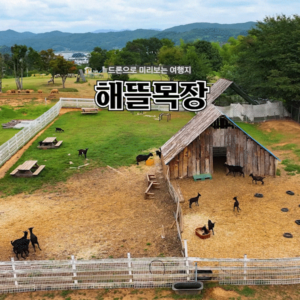 드론으로 미리보는 여행지 하동 아이와 가볼만한곳 해뜰목장 동물 먹이주기