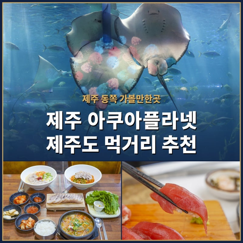 제주 동쪽 가볼만한곳 아쿠아플라넷 제주도 먹거리