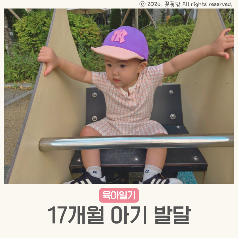 17개월아기발달 특징 언어 키 몸무게