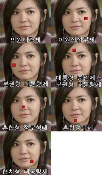 이재명 대통령의 꼼수 내각제, 분권형 대통령제, 이원정부제, 4년 중임제, 연임제, 대통령중....
