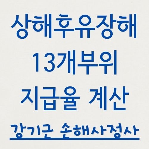 상해후유장해 보험금이란? 장해분류표 13개 부위와 지급률 계산 구조