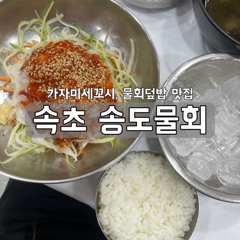 속초 현지인 추천 물회 맛집 [송도물회] 물회덮밥 솔직후기