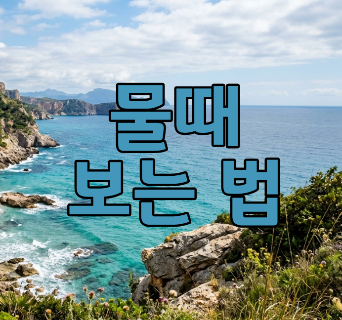서해 물때 보는 법 바다타임 물때표 낚시 시간 알아 봐요