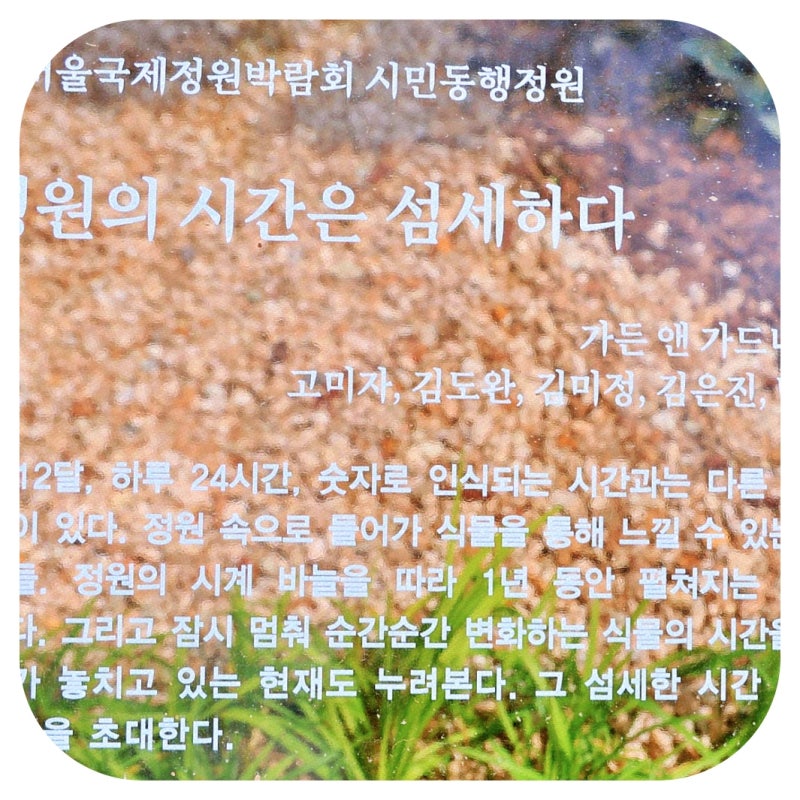 내 경험으로 본 갑상선암 임파선 전이 증상