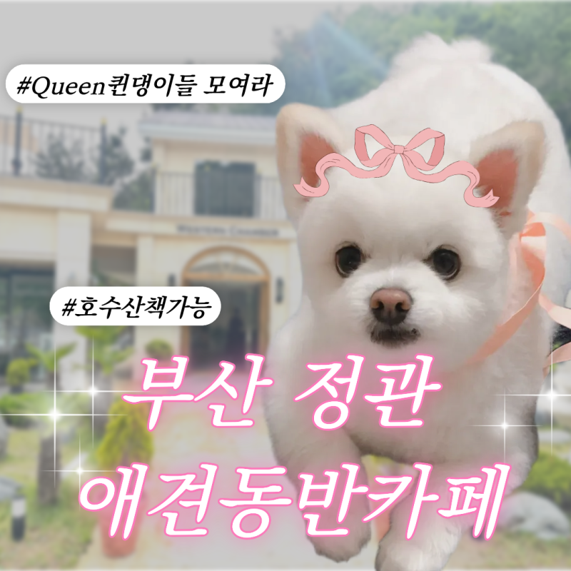 [부산 기장 정관 애견동반 카페] ‘웨스턴챔버’ 호수 산책로 포토존 후기