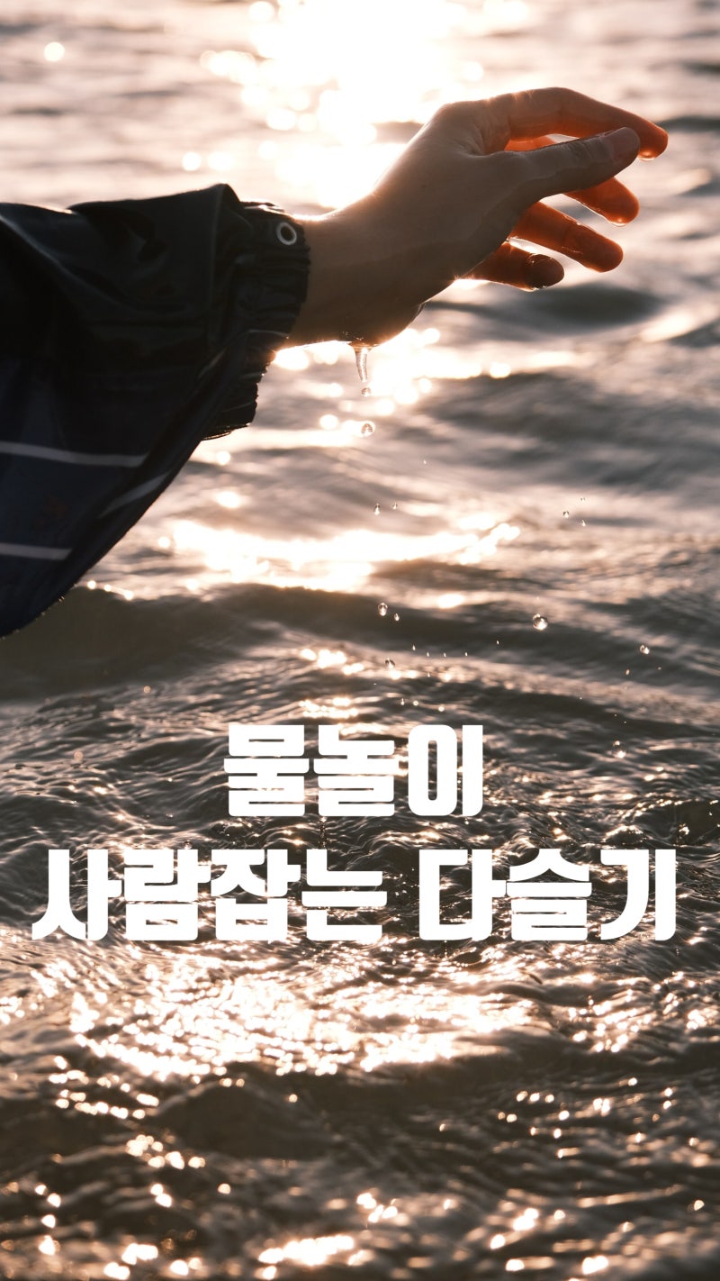 사람잡는 다슬기, 목숨보다 소중한건 없다