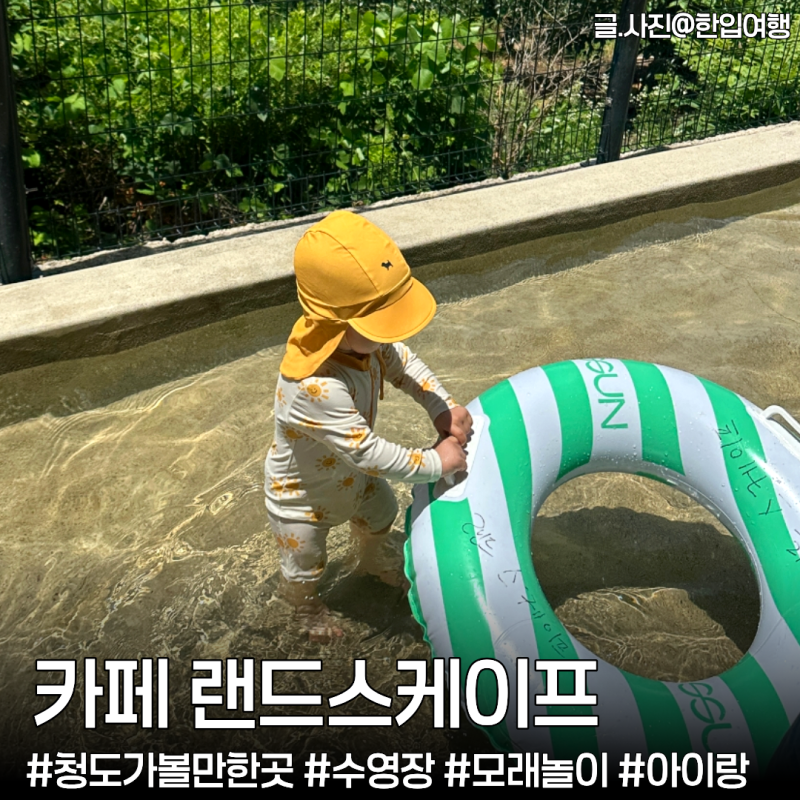 청도 가볼만한곳 ‘카페 랜드스케이프’ 대구근교 아이랑 가기좋은 3천평 대형 브런치카페(....