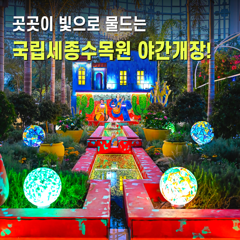 세종시 가볼만한곳 국립세종수목원 야간개장 재개 앙리마티스 가든마블 세종야경