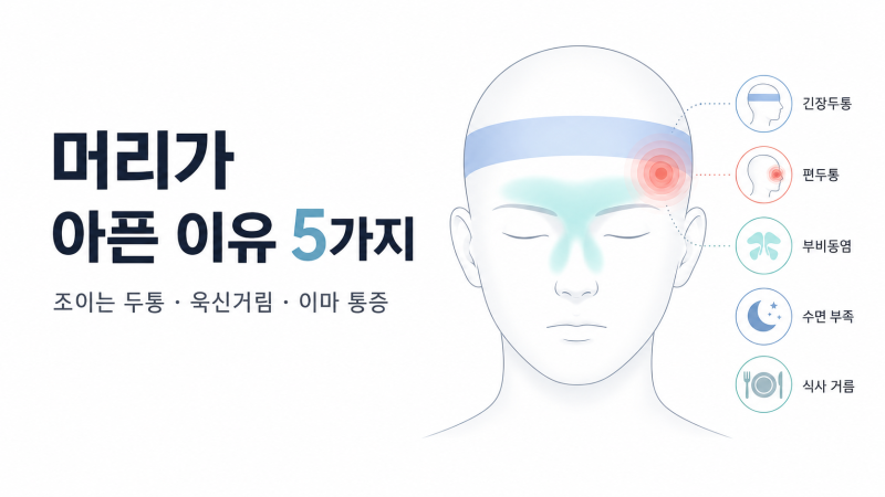 머리가 아픈 이유 5가지 | 조이는 두통·욱신거림·이마 통증으로 구분