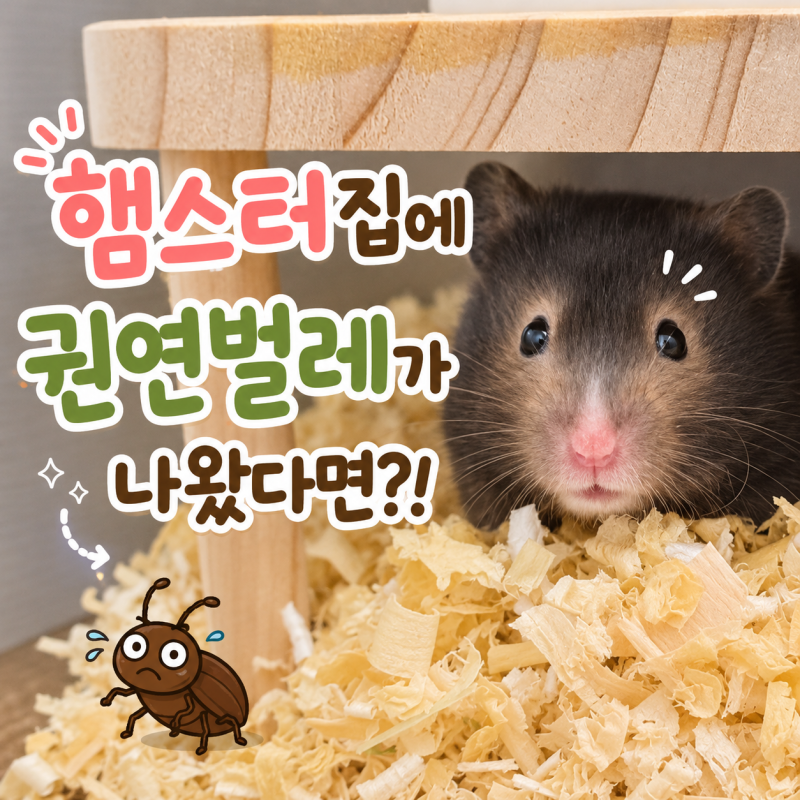 햄스터 베딩에서 권연벌레가 나왔다면?! 권연벌레 원인과 퇴치 예방법 알아보기