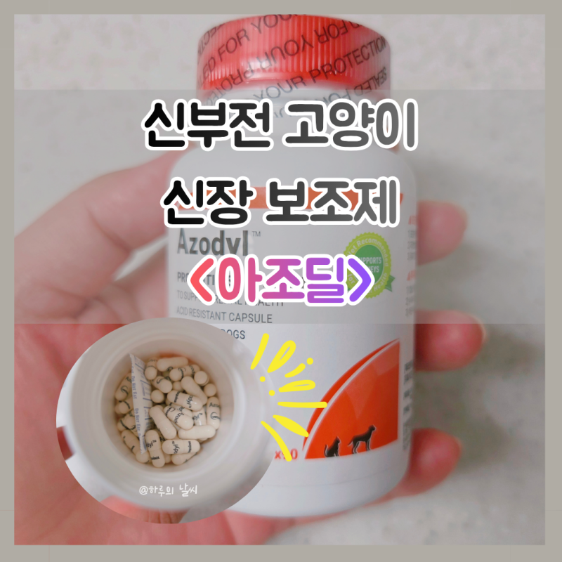 신부전 고양이 신장 보조제 모든것 ● 성분 & 급여후기