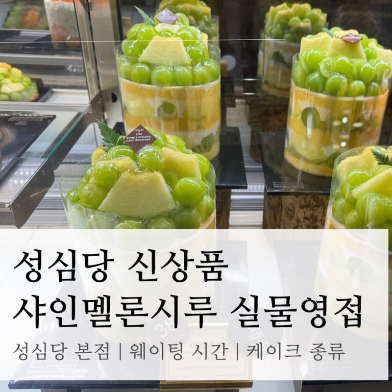 성심당 신상품 “샤인멜론시루 실물영접” | 평일저녁 웨이팅, 케이크 종류, 멜론와륵 솔직....