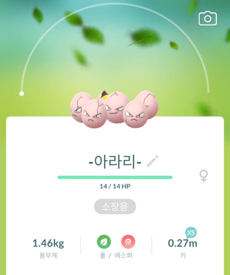 포켓몬고 일지 - 아라리 진화 나시, 관동 나시와 알로라 나시, 나시의 약점 성능 티어 졸업스....