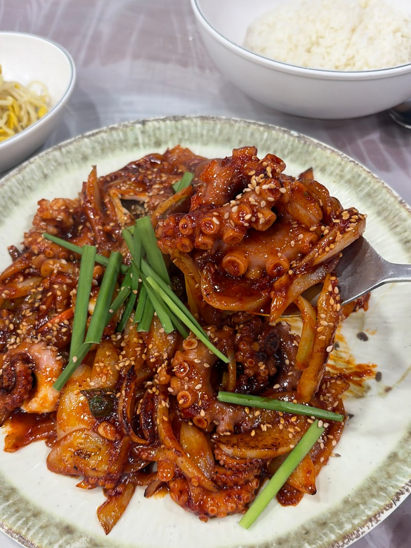 서산점심맛집 착한낙지 서산점 / 매콤한 낙지덮밥으로 든든한 한 끼