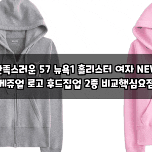 만족스러운 57 뉴욕1 홀리스터 여자 NEW 케쥬얼 로고 후드집업 2종 비교핵심요점
