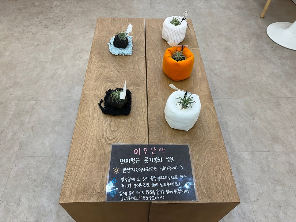 안산 사진 6