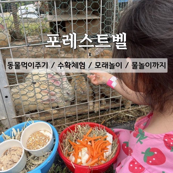 [용인 실내가볼만한곳] 동물카페 '포레스트벨' 주말 나들이 (먹이주기/수확체험/물놀이터)