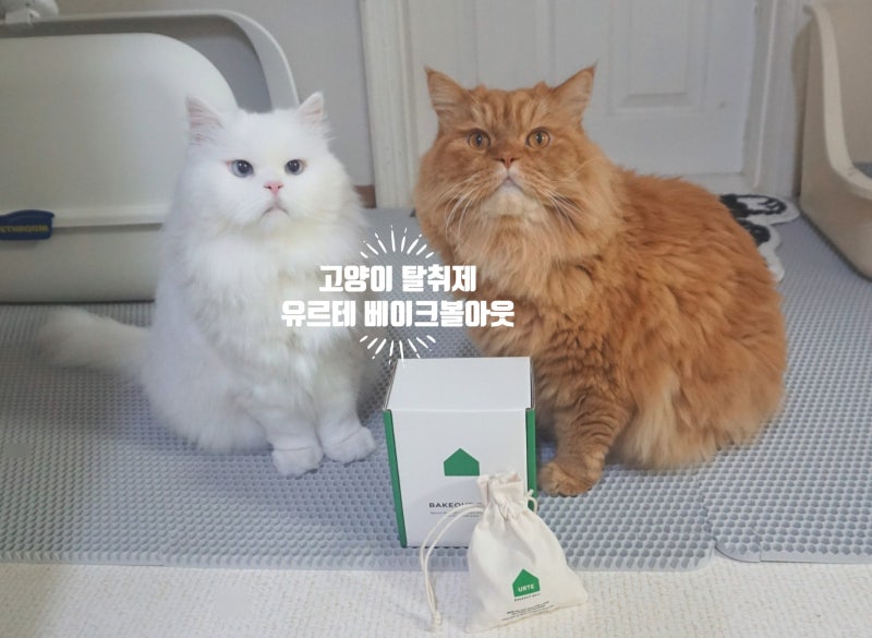 고양이 탈취제 유르테 베이크아웃볼 고양이 냄새 제거